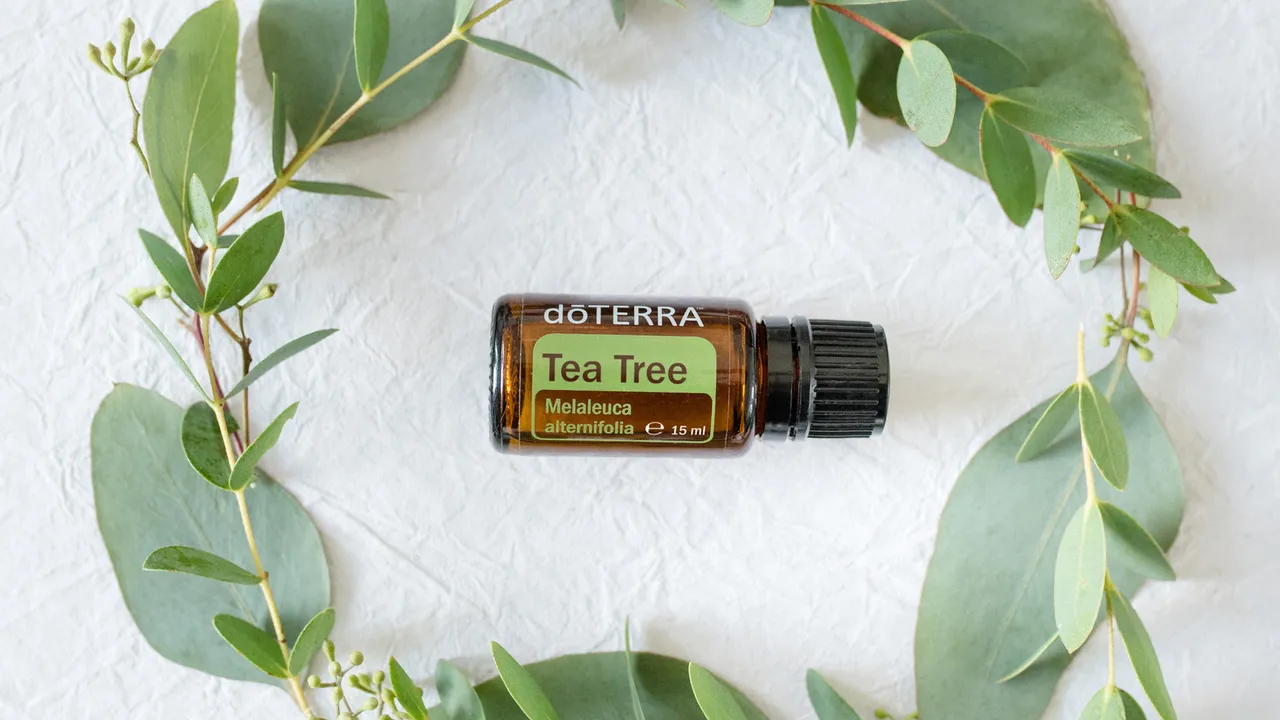 Ulei de tea tree